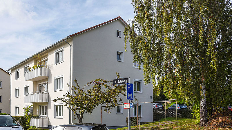 Fassadenreinigung und Algenbekämpfung an einem Wohnhaus in Stuttgart, Edisonstraße-3