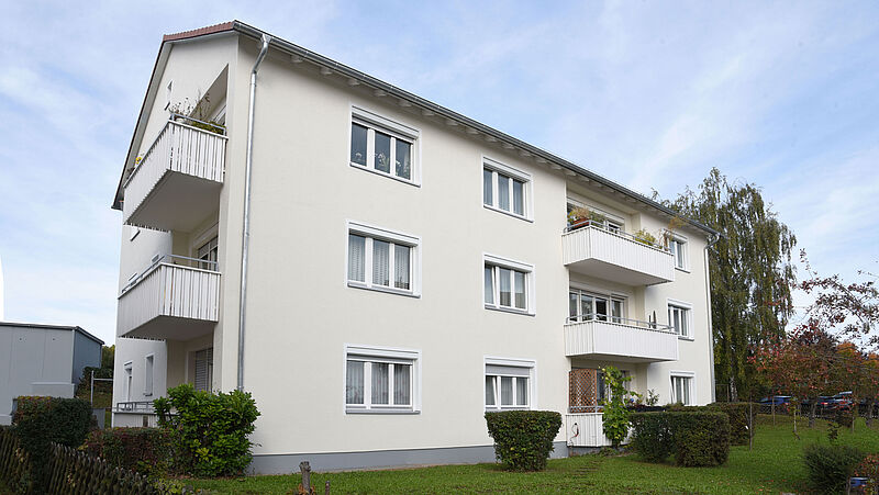 Fassadenreinigung und Algenbekämpfung an einem Wohnhaus in Stuttgart, Edisonstraße-1